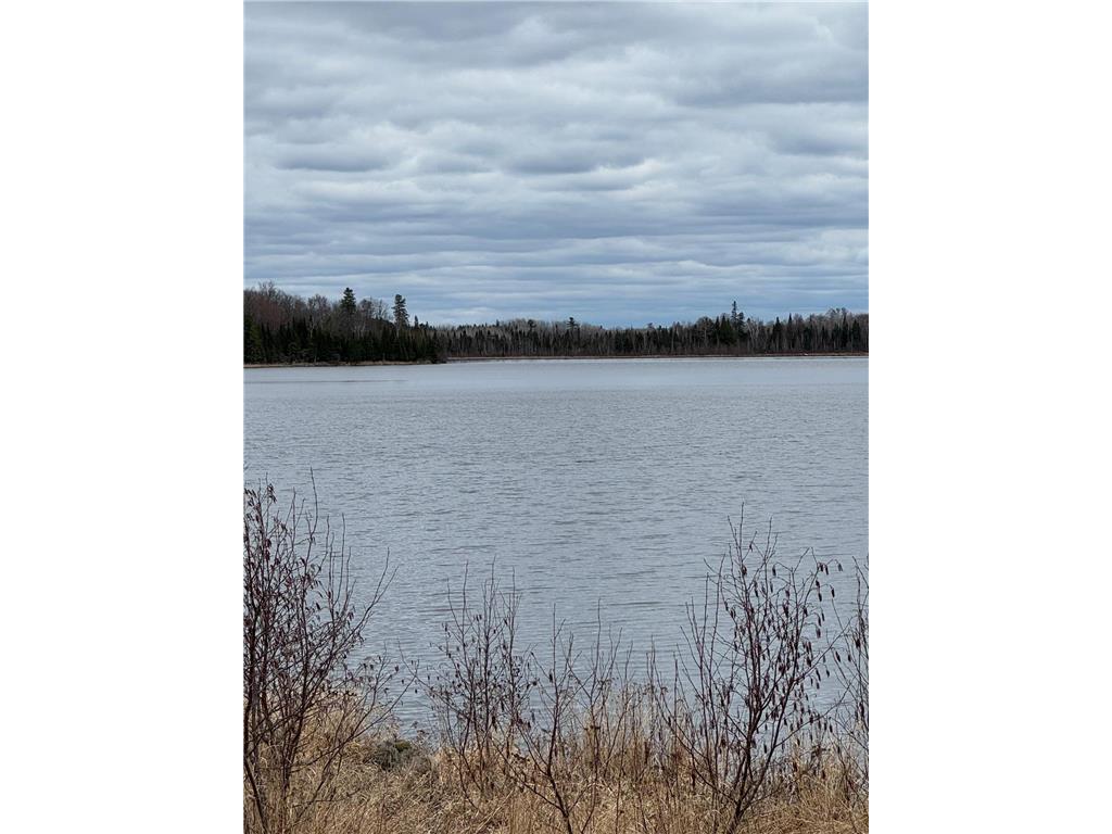 TBD40 Township Road 5743 Road New Independence Twp MN 55702 - Artichoke River 7067070 image8