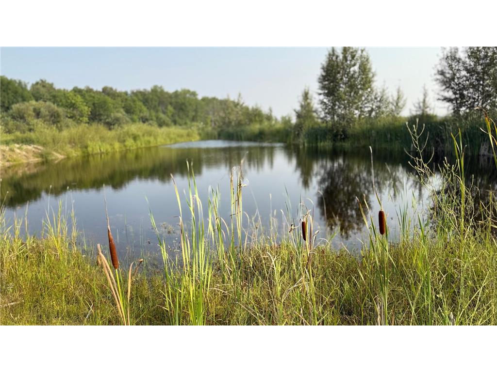 TBD5 Sunflower Road Kelliher MN 56650 6765797 image10