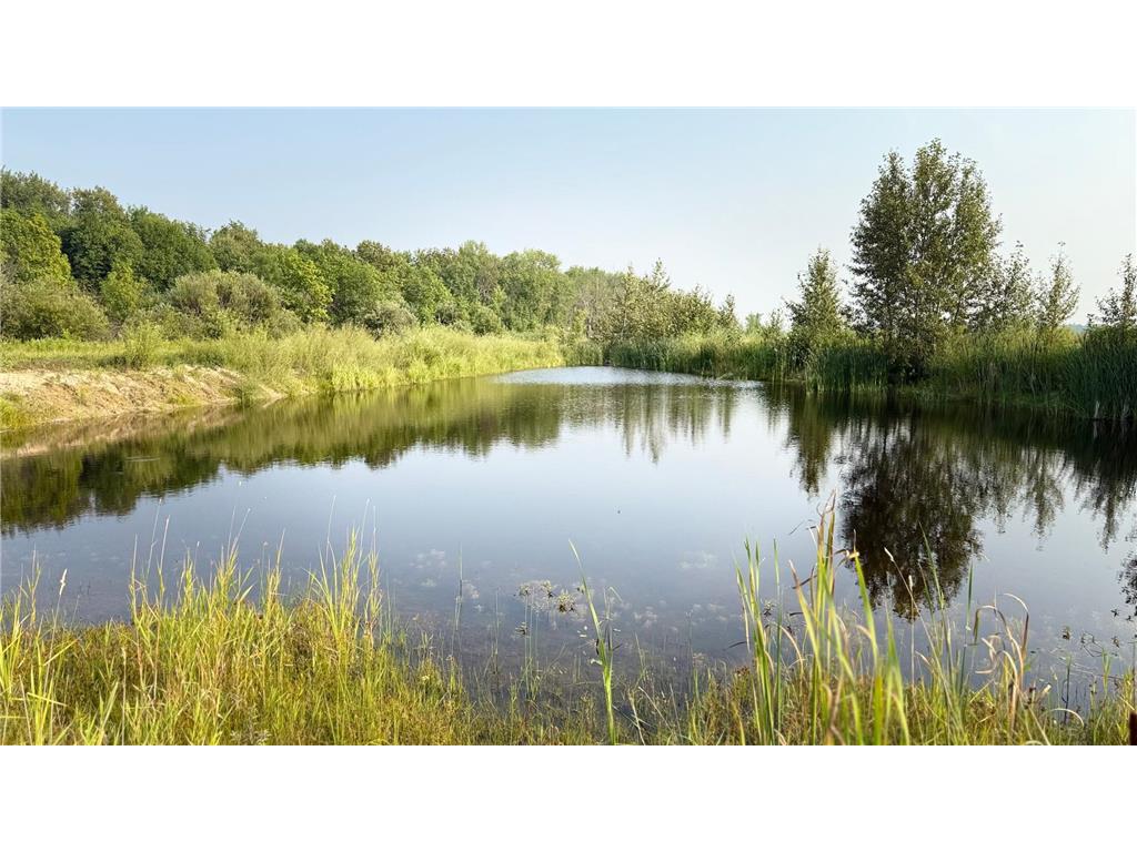 TBD5 Sunflower Road Kelliher MN 56650 6765797 image11