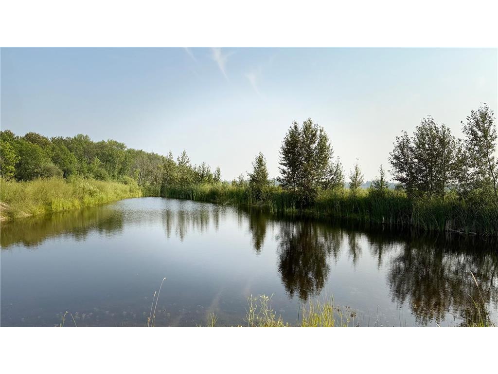 TBD5 Sunflower Road Kelliher MN 56650 6765797 image12