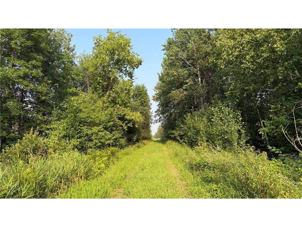 TBD5 Sunflower Road Kelliher MN 56650 6765797 image2