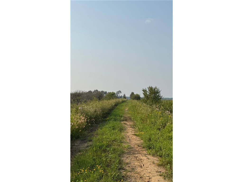 TBD5 Sunflower Road Kelliher MN 56650 6765797 image4