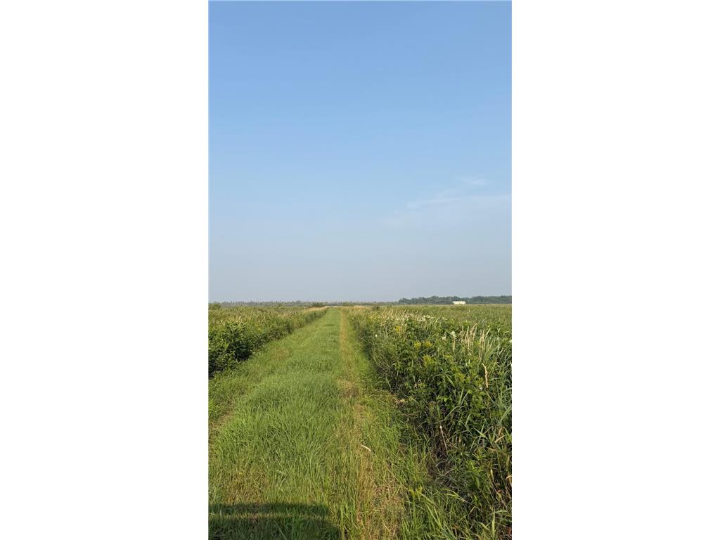 TBD5 Sunflower Road Kelliher MN 56650 6765797 image5