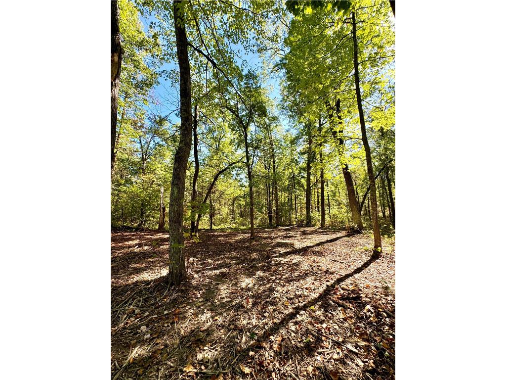 TBD5 Winter Creek Court Fairview Twp MN 56468 7012437 image1