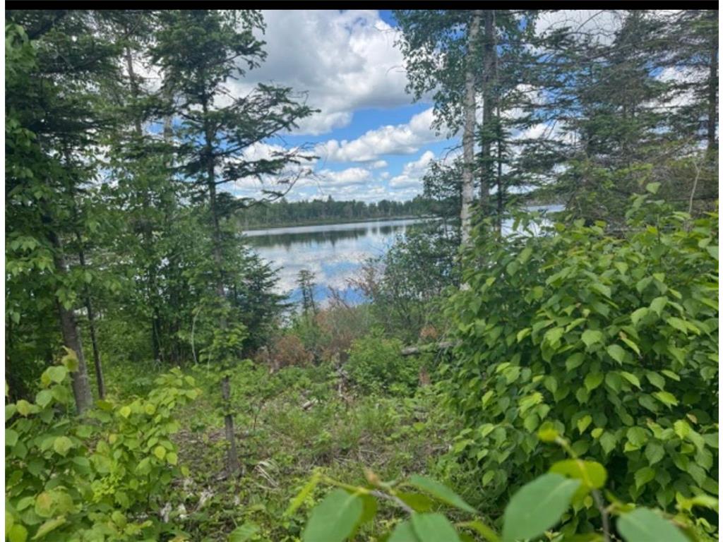 TBD6.5 Moose Lake Road Pequaywan Twp MN 55803 - Moose Lake 7096046 image12