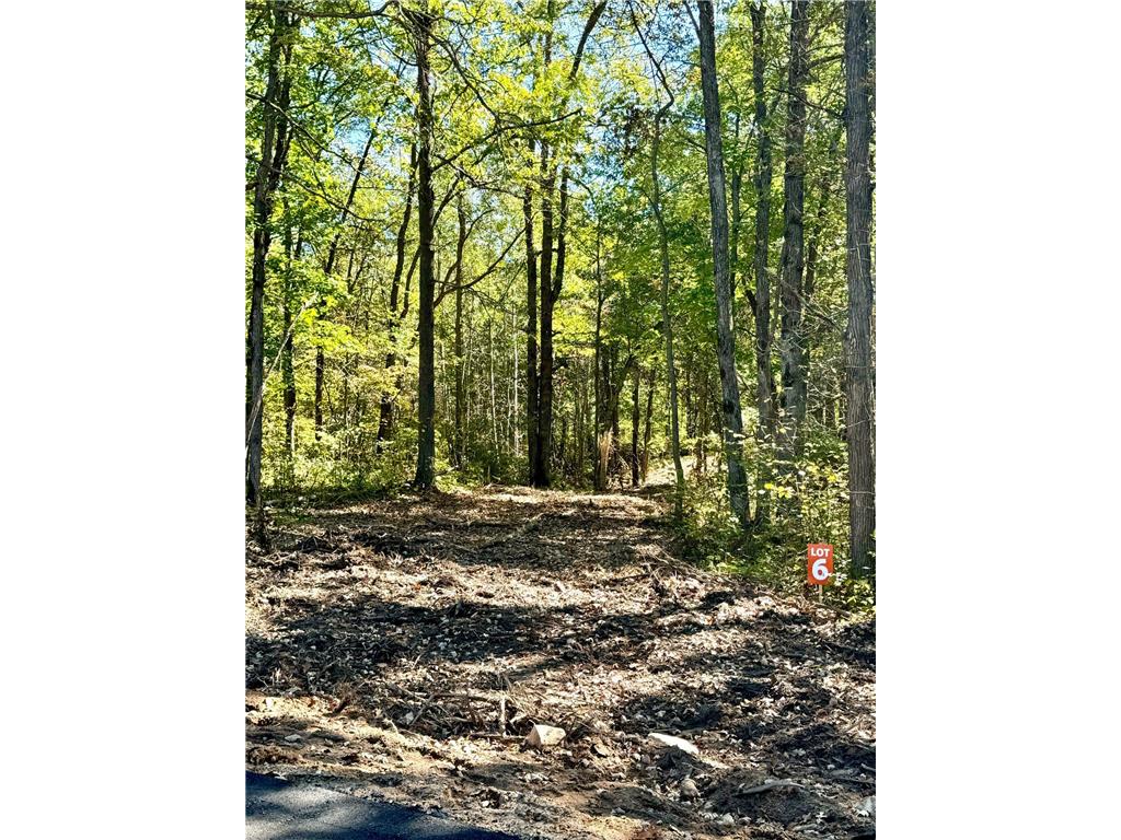 TBD6 Winter Creek Court Fairview Twp MN 56468 7012438 image3