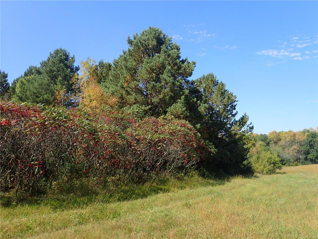 TBD8.5 County Road 106 Monticello MN 55362 - North Lake 6789817 image13