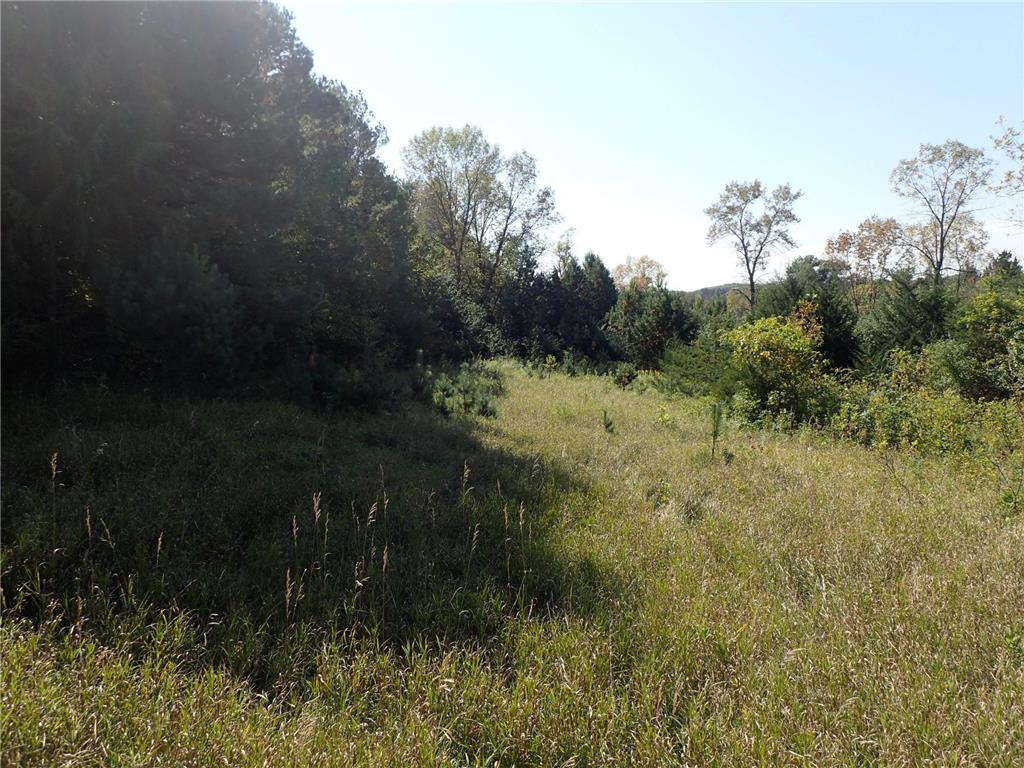 TBD8.5 County Road 106 Monticello MN 55362 - North Lake 6789817 image15