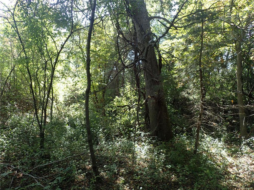 TBD8.5 County Road 106 Monticello MN 55362 - North Lake 6789817 image17