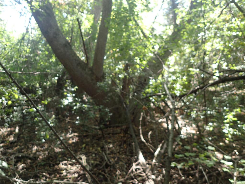 TBD8.5 County Road 106 Monticello MN 55362 - North Lake 6789817 image18