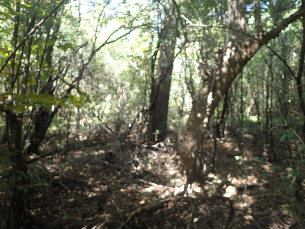 TBD8.5 County Road 106 Monticello MN 55362 - North Lake 6789817 image19