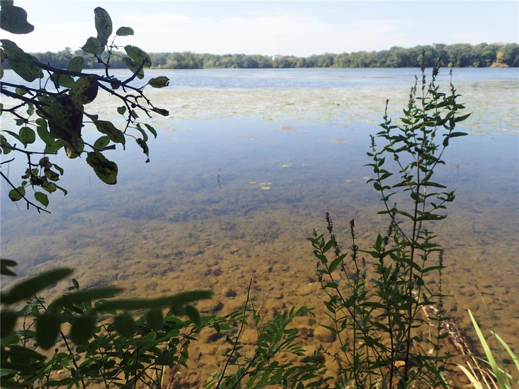 TBD8.5 County Road 106 Monticello MN 55362 - North Lake 6789817 image2