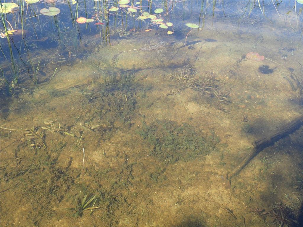 TBD8.5 County Road 106 Monticello MN 55362 - North Lake 6789817 image23