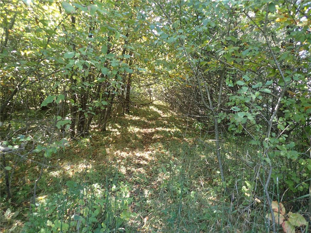 TBD8.5 County Road 106 Monticello MN 55362 - North Lake 6789817 image26