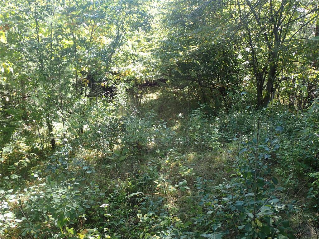 TBD8.5 County Road 106 Monticello MN 55362 - North Lake 6789817 image28