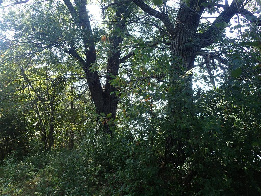 TBD8.5 County Road 106 Monticello MN 55362 - North Lake 6789817 image29