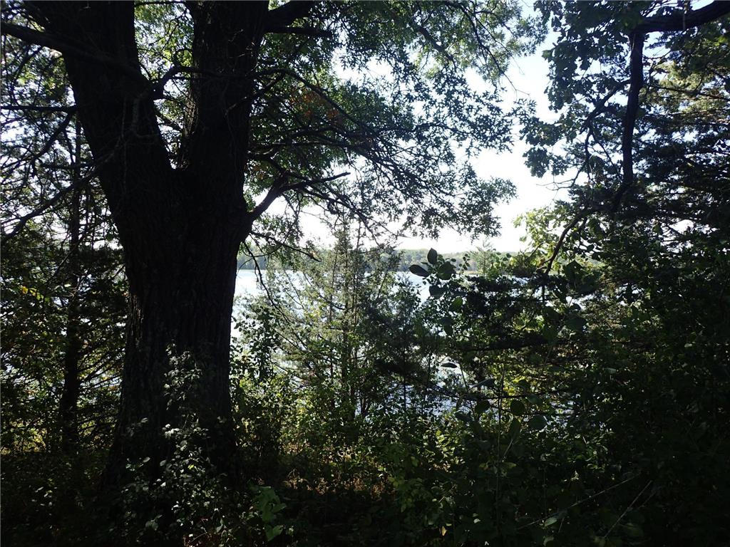 TBD8.5 County Road 106 Monticello MN 55362 - North Lake 6789817 image3