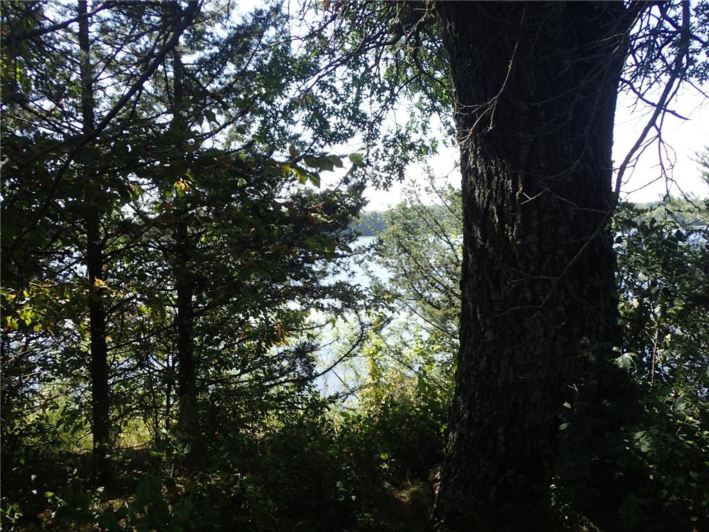 TBD8.5 County Road 106 Monticello MN 55362 - North Lake 6789817 image4