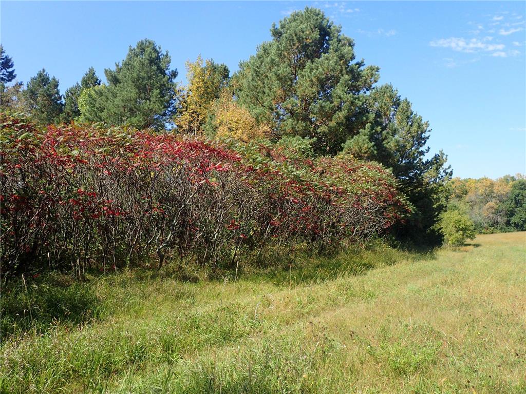 TBD8.5 County Road 106 Monticello MN 55362 - North Lake 6789817 image6