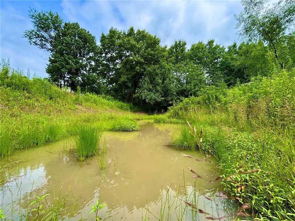 TBD89 County 13 Houston MN 55943 7108086 image10
