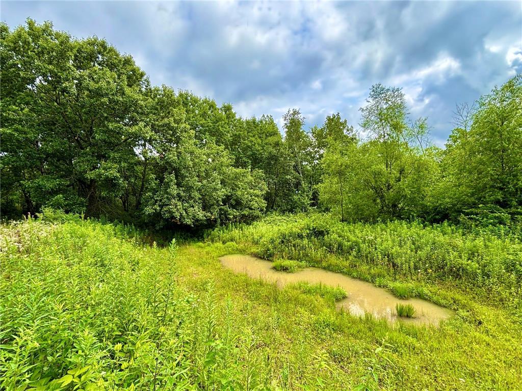TBD89 County 13 Houston MN 55943 7108086 image11