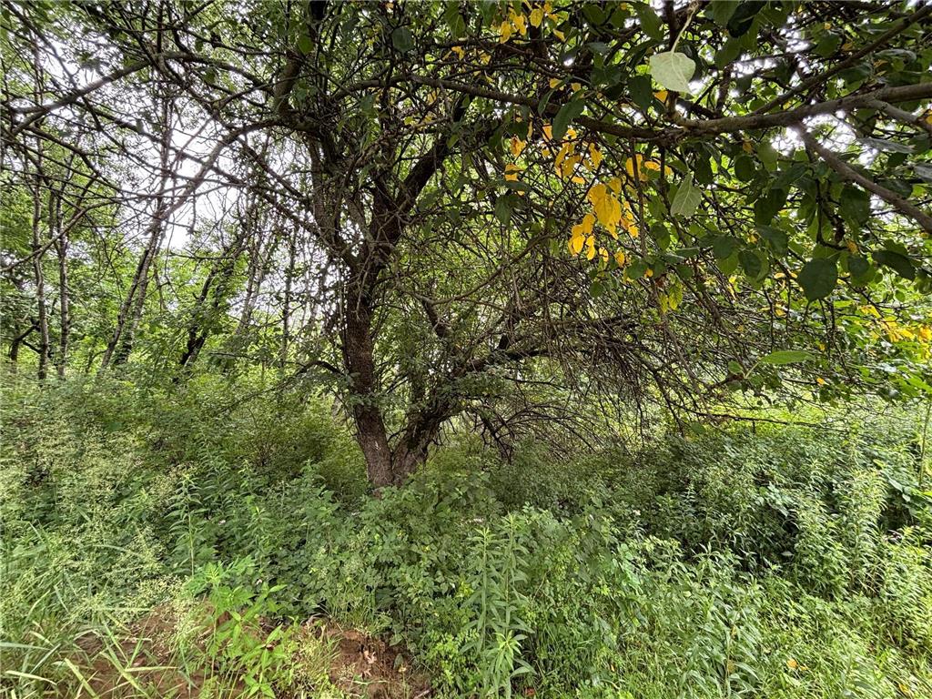 TBD89 County 13 Houston MN 55943 7108086 image12