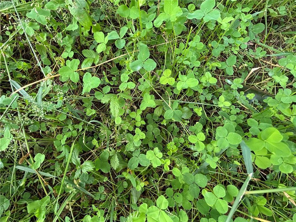 TBD89 County 13 Houston MN 55943 7108086 image13