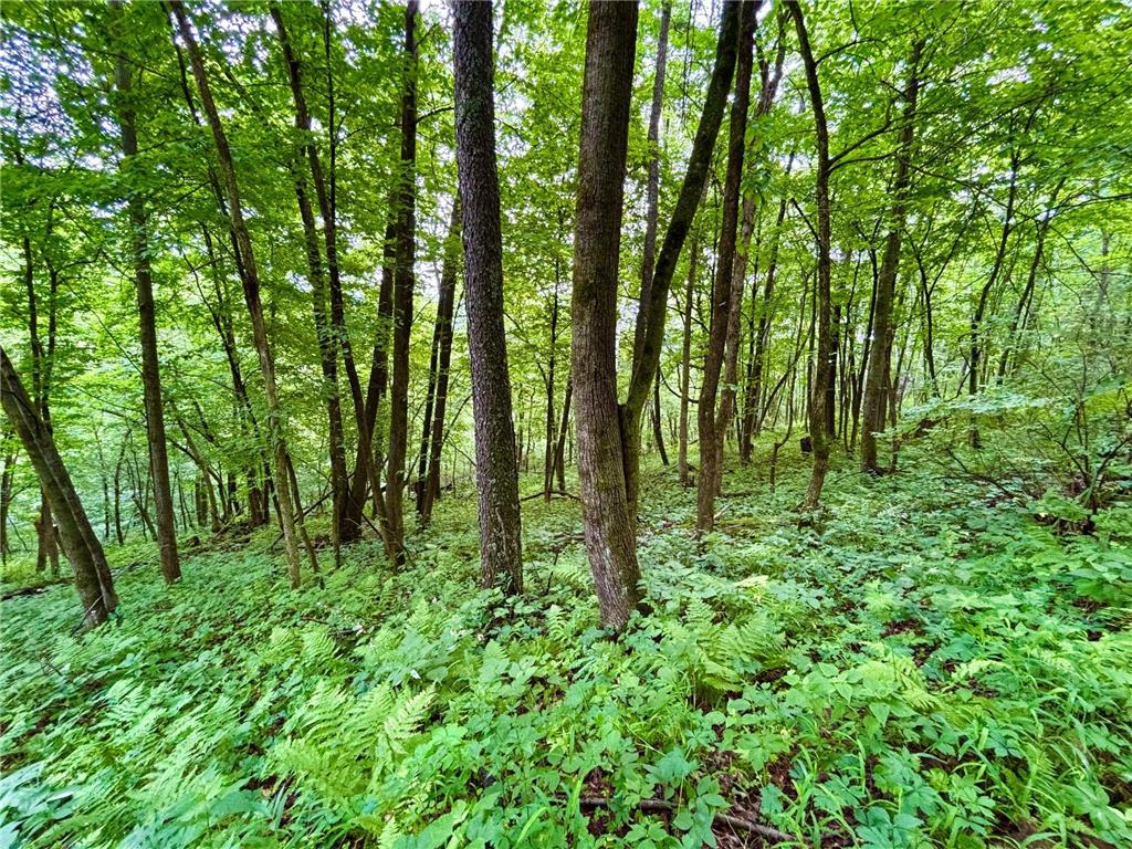 TBD89 County 13 Houston MN 55943 7108086 image18