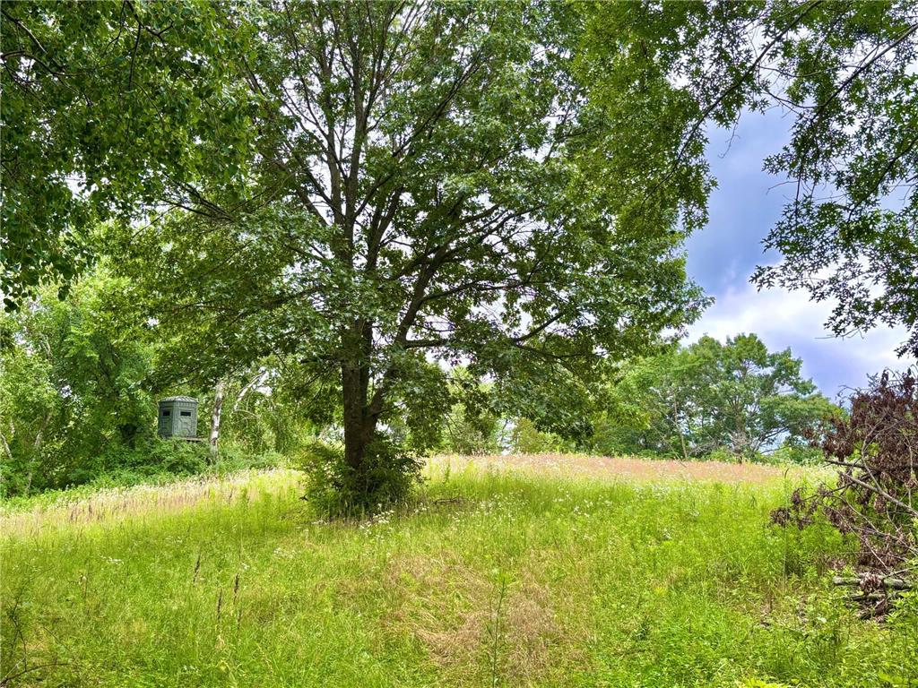 TBD89 County 13 Houston MN 55943 7108086 image26
