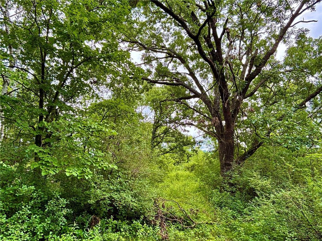 TBD89 County 13 Houston MN 55943 7108086 image28