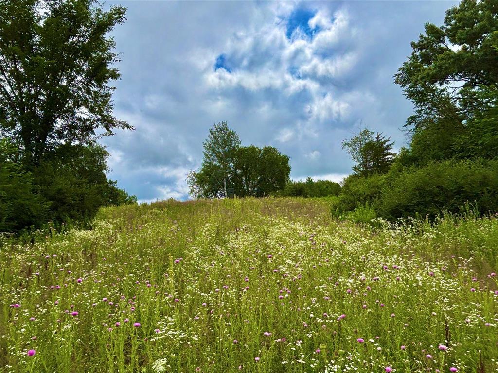 TBD89 County 13 Houston MN 55943 7108086 image34