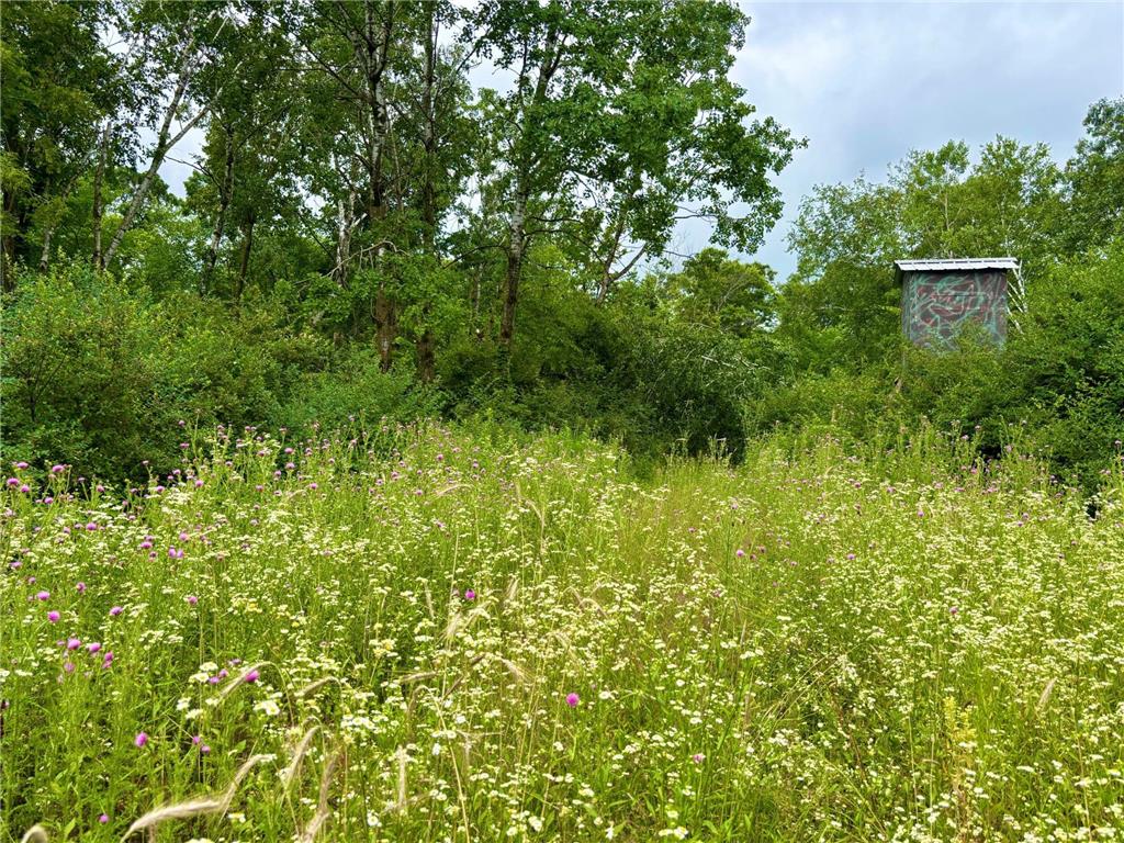 TBD89 County 13 Houston MN 55943 7108086 image39