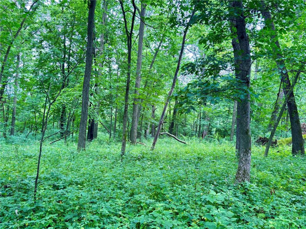 TBD89 County 13 Houston MN 55943 7108086 image40