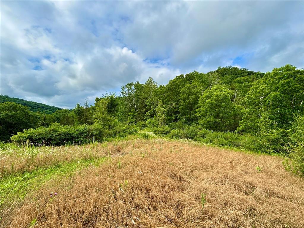 TBD89 County 13 Houston MN 55943 7108086 image8