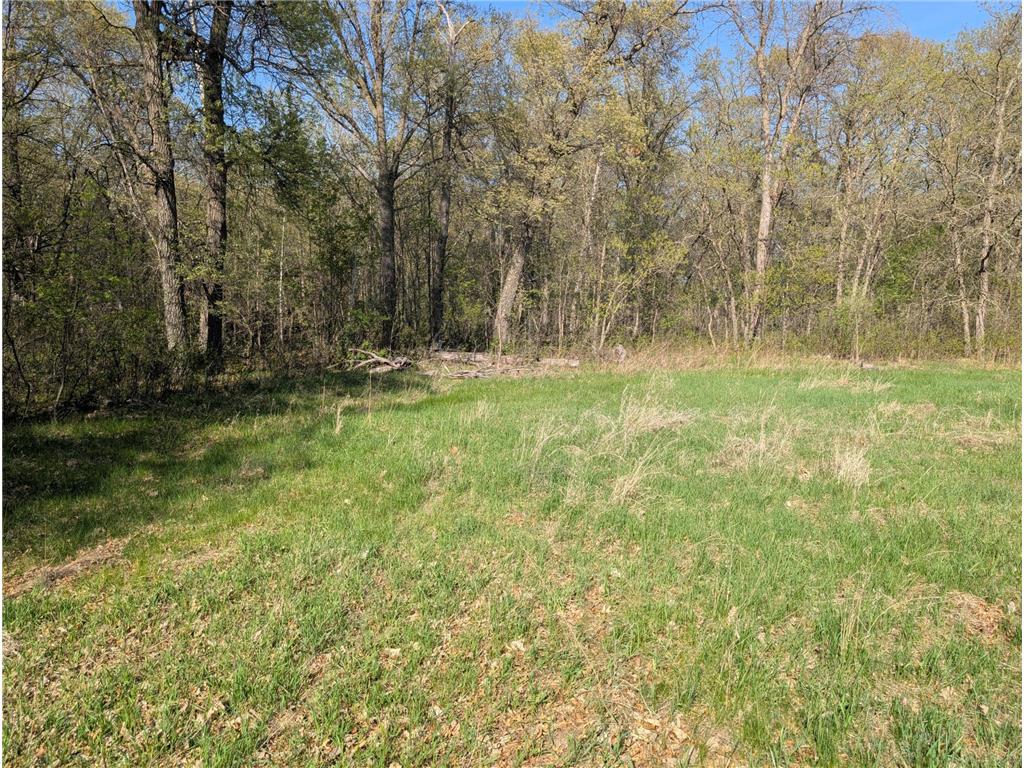 TBDX Arbor Lane SW Pillager MN 56473 6723255 image1