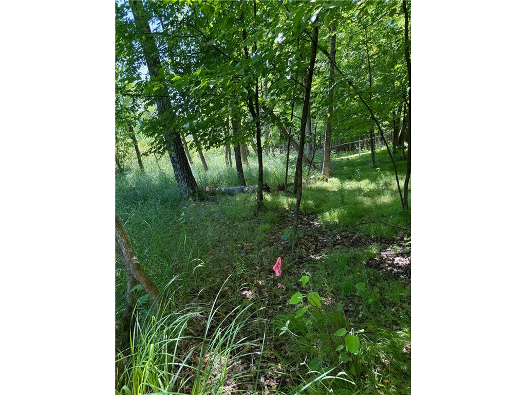 TBD_4 Clearwater Point Road Bay Lake Twp MN 56401 - Clearwater 7100927 image19