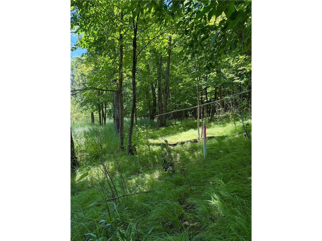 TBD_4 Clearwater Point Road Bay Lake Twp MN 56401 - Clearwater 7100927 image20