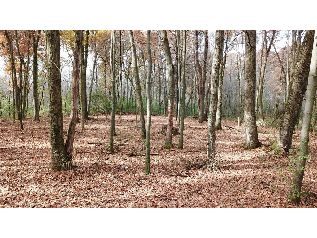 TBDx 165th Avenue SE Santiago Twp MN 55319 6809970 image10