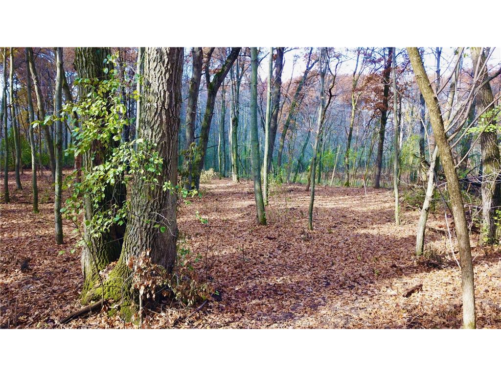 TBDx 165th Avenue SE Santiago Twp MN 55319 6809970 image12