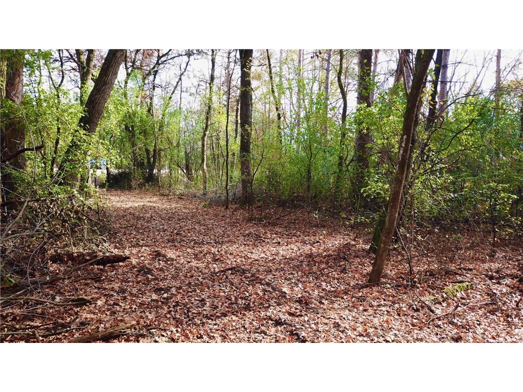 TBDx 165th Avenue SE Santiago Twp MN 55319 6809970 image14