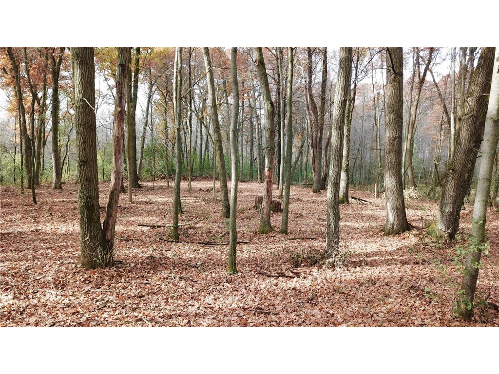 TBDx 165th Avenue SE Santiago Twp MN 55319 7036908 image10