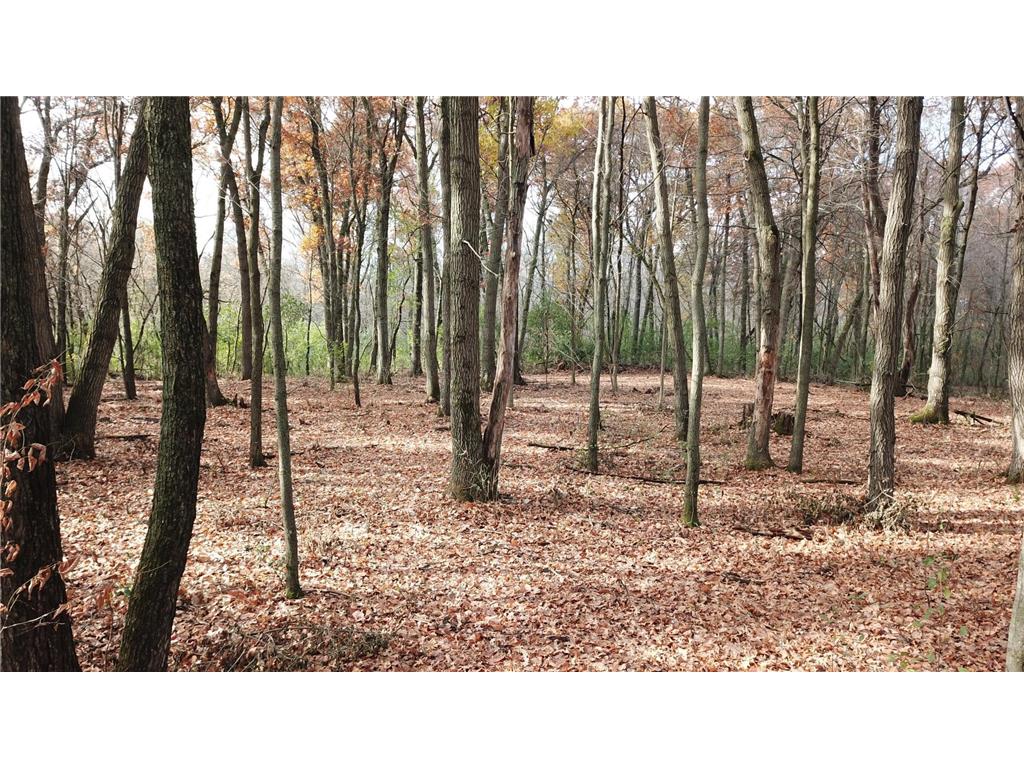 TBDx 165th Avenue SE Santiago Twp MN 55319 7036908 image11