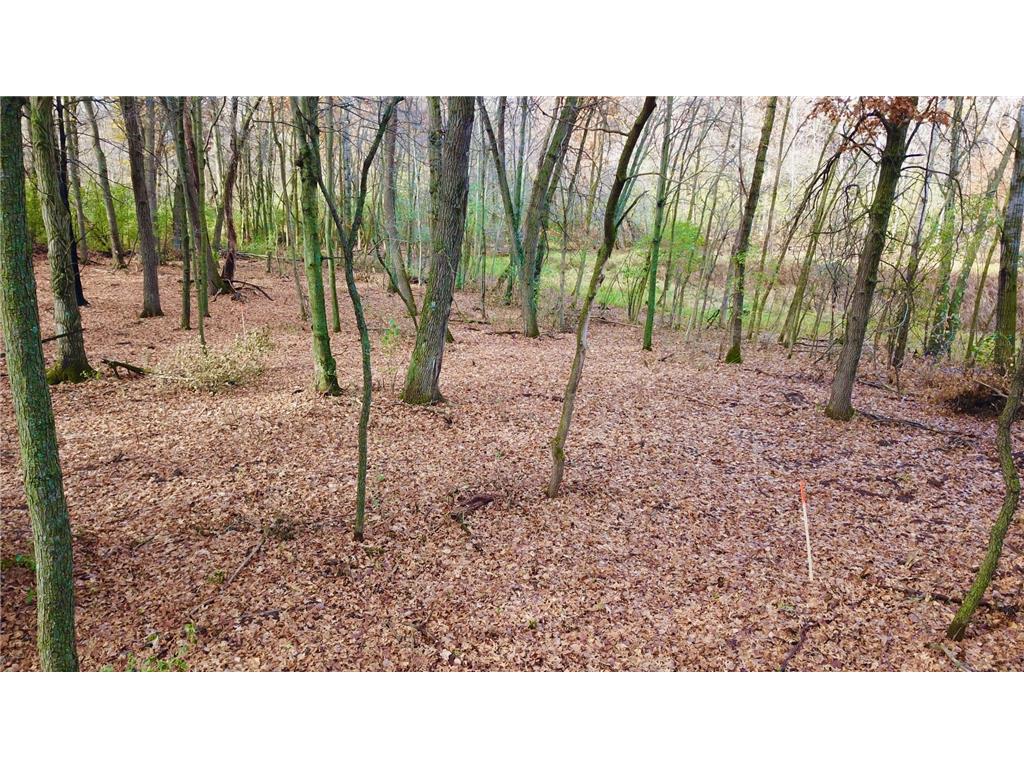 TBDx 165th Avenue SE Santiago Twp MN 55319 7036908 image13