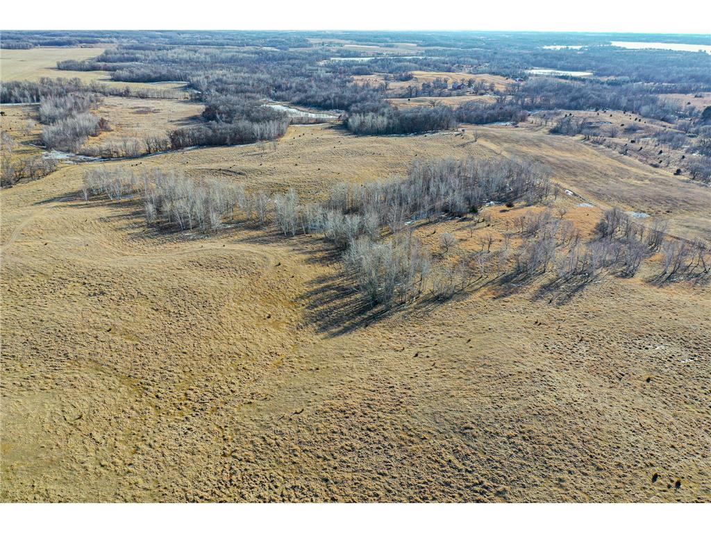 TBDx Cedar Lake Road Birchdale Twp MN 56378 6684924 image1