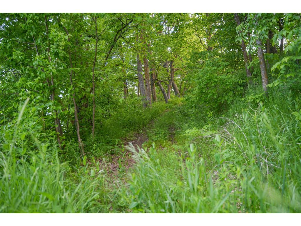 TBDx Chippewa Heights NW Brandon MN 56315 - Chippewa 7090777 image14