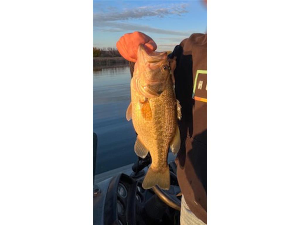 TBDx Chippewa Heights NW Brandon MN 56315 - Chippewa 7090777 image33