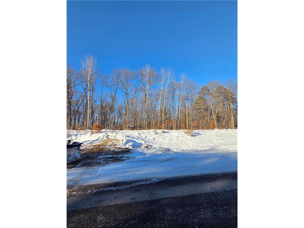 TBDxx Lake Ave Shamrock Twp MN 55760 7051880 image1