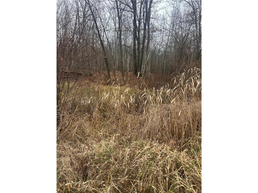 TBDxx Lake Camile Cushing Twp MN 56475 6819803 image1