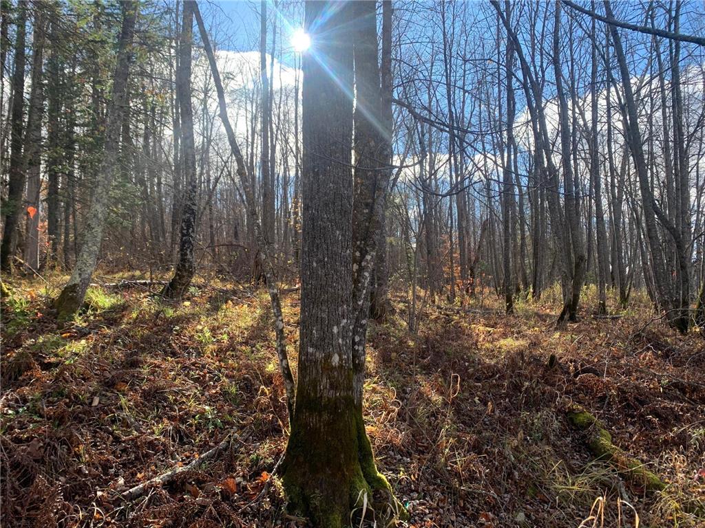 TBDxx State Hwy 65 Verdon Twp MN 55752 - Mississippi 6811415 image12