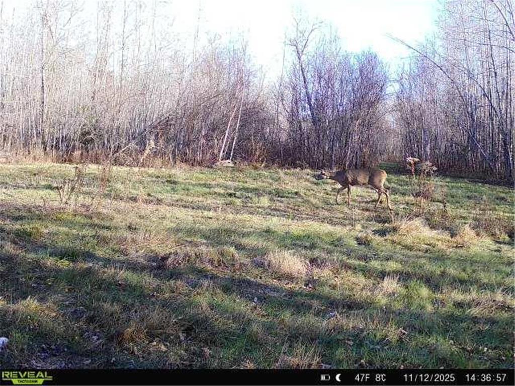 TBDxx State Hwy 65 Verdon Twp MN 55752 - Mississippi 6811415 image13